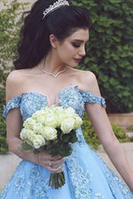 Ball Gown Blue Off the Shoulder Lace Sleeveless Sweep/Brush Train Prom Dresses LSW725332